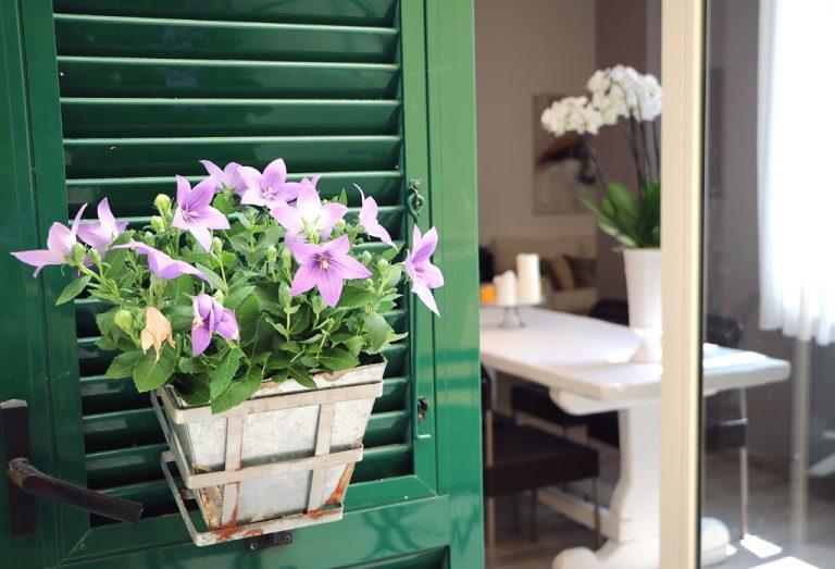 B&B Casa Trucchi Ventimiglia Exterior photo